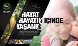 Доллар рискует потерять поддержку от таможенных пошлин