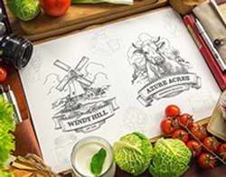 Как повысить шансы на одобрение кредита без залога