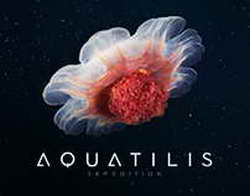 Валютный рынок, Daily history за 6 ноября 2025 г.