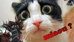 Второй шанс евро